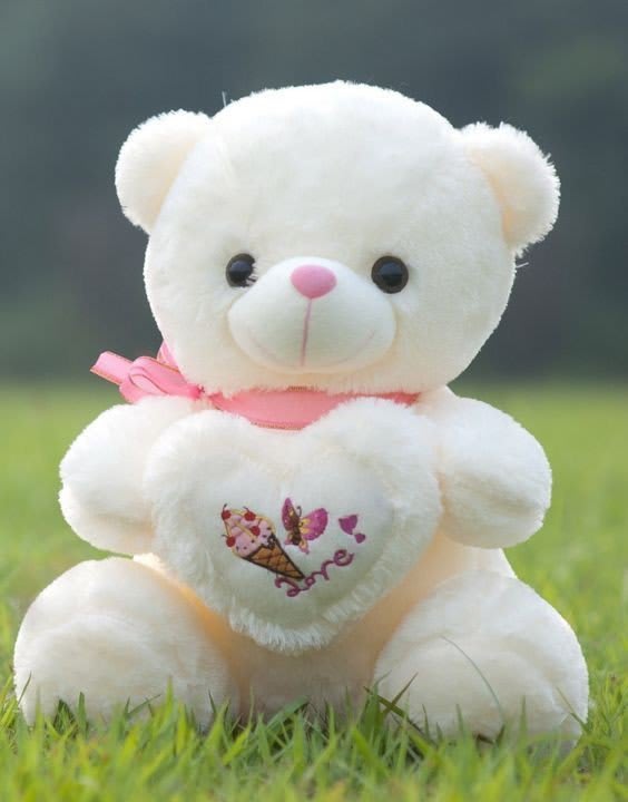 Teddy Bear Images 58