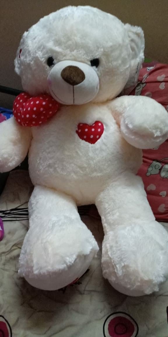 Teddy Bear Images 4