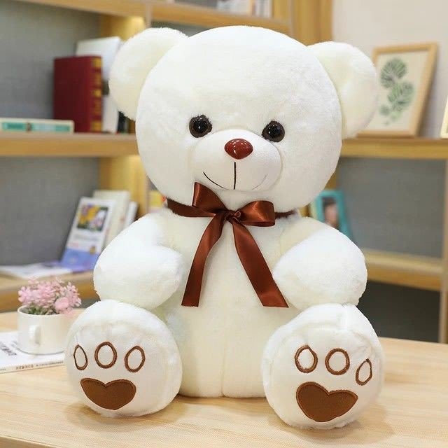 Teddy Bear Images 24