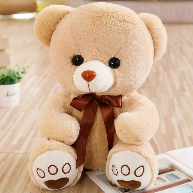 Teddy Bear Images 49