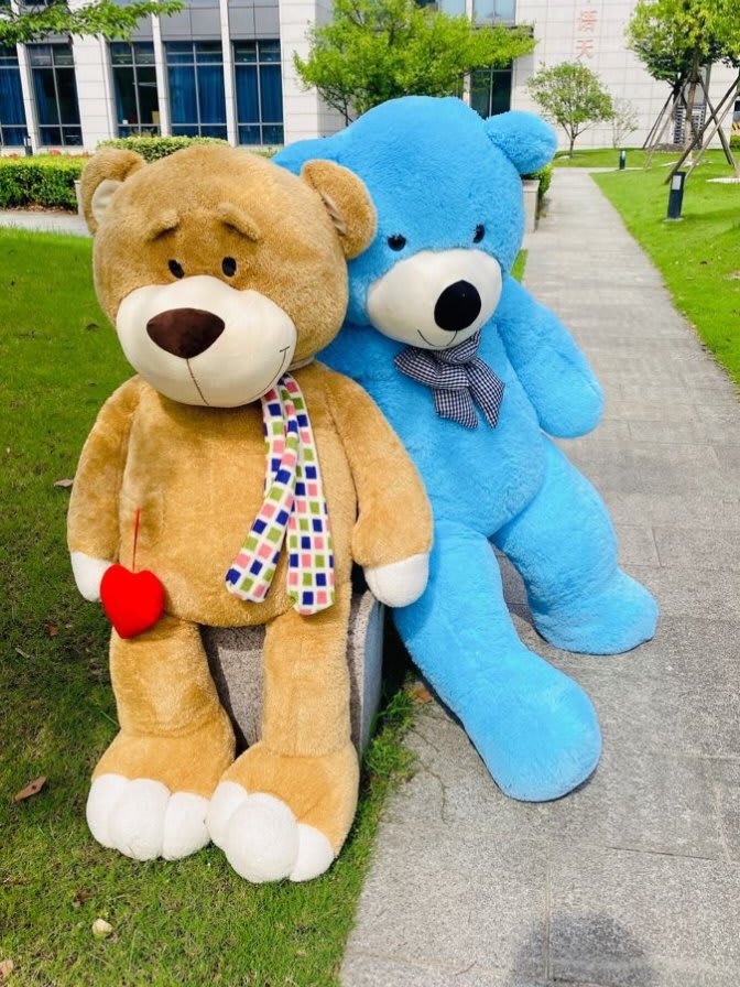 Teddy Bear Images 17