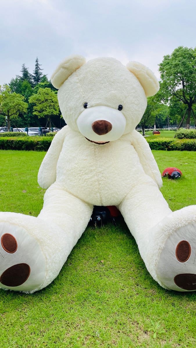 Teddy Bear Images 9