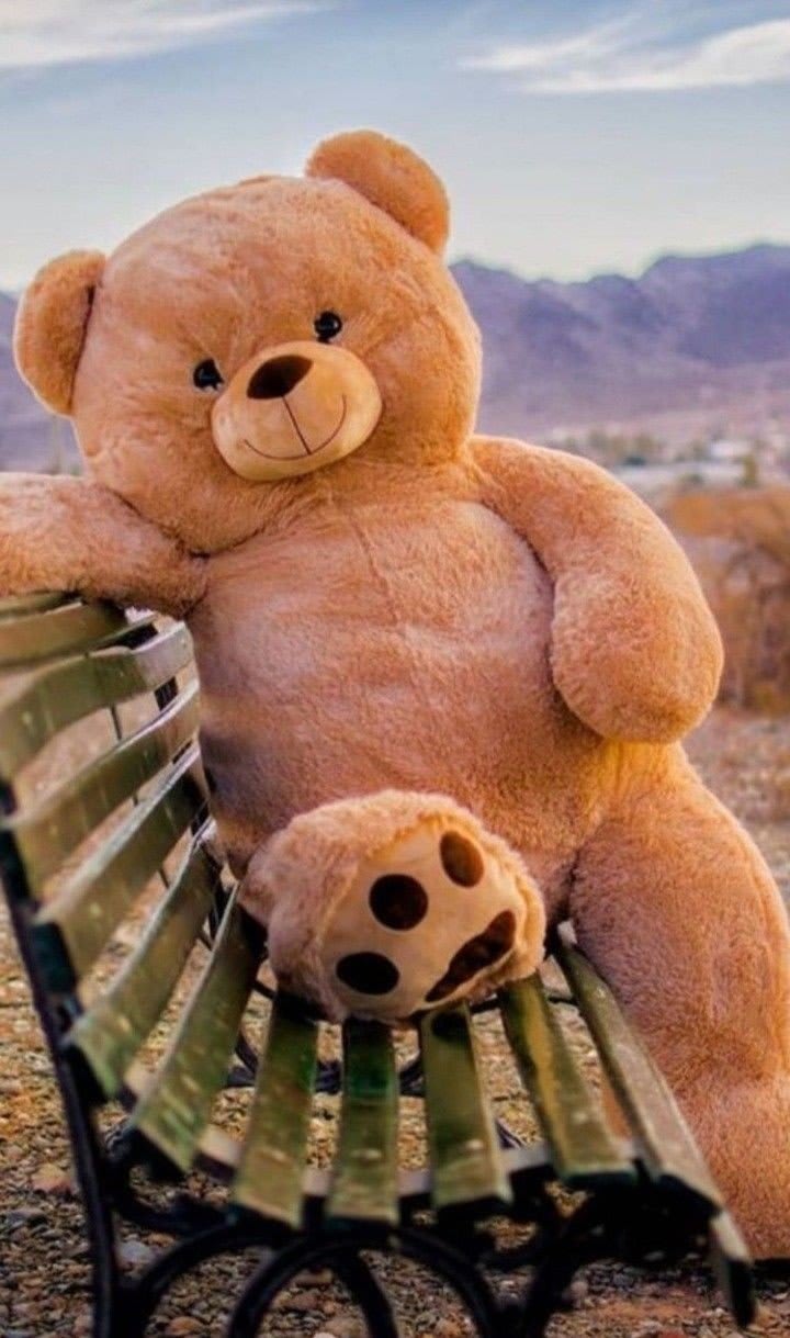 Teddy Bear Images 44