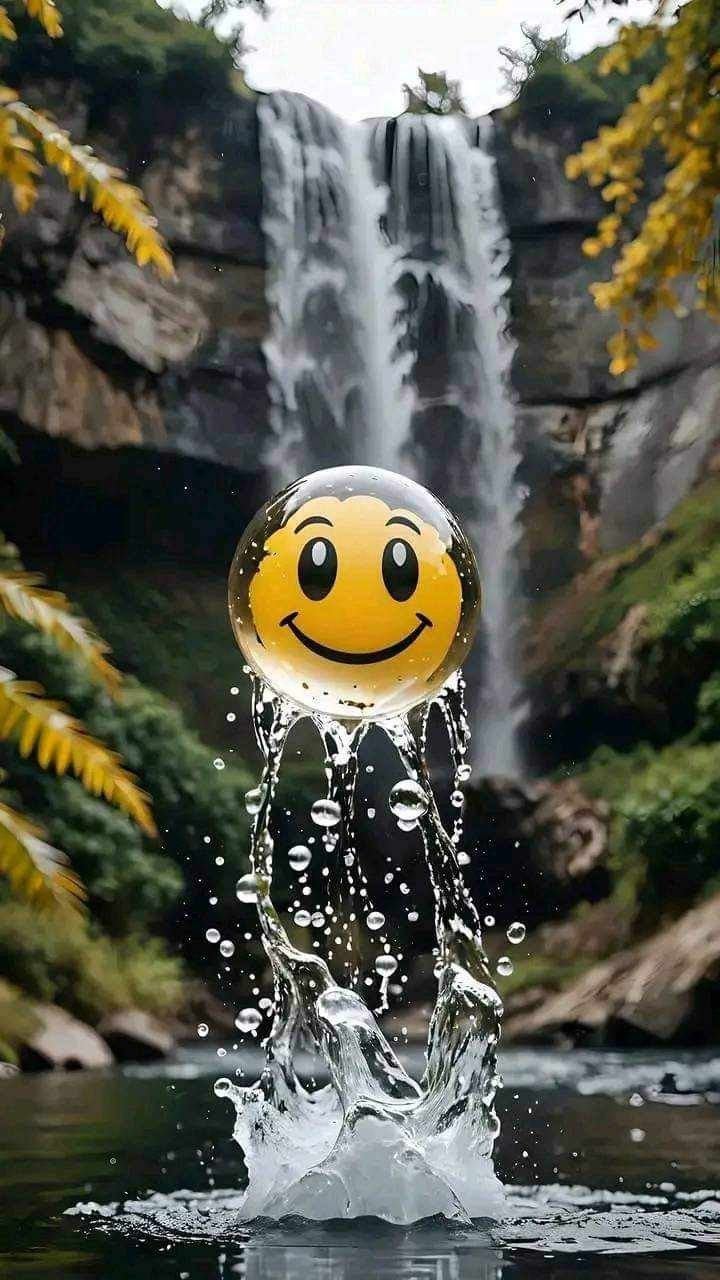 Smile DP 81