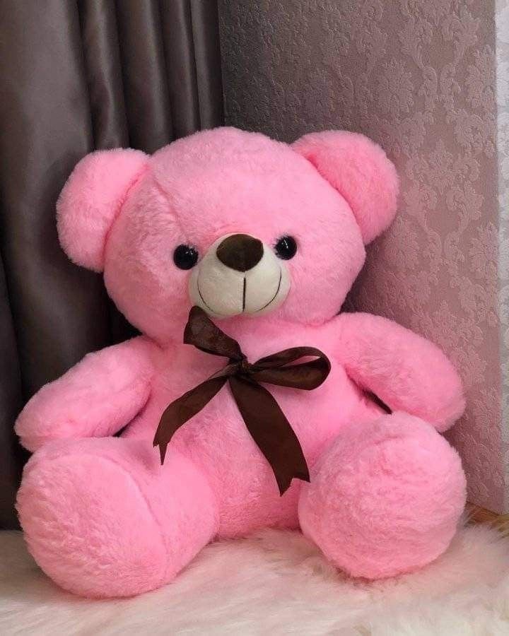 Teddy Bear Images 82