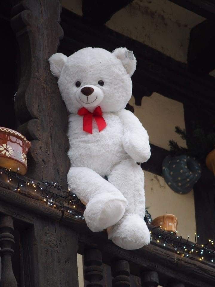 Teddy Bear Images 81
