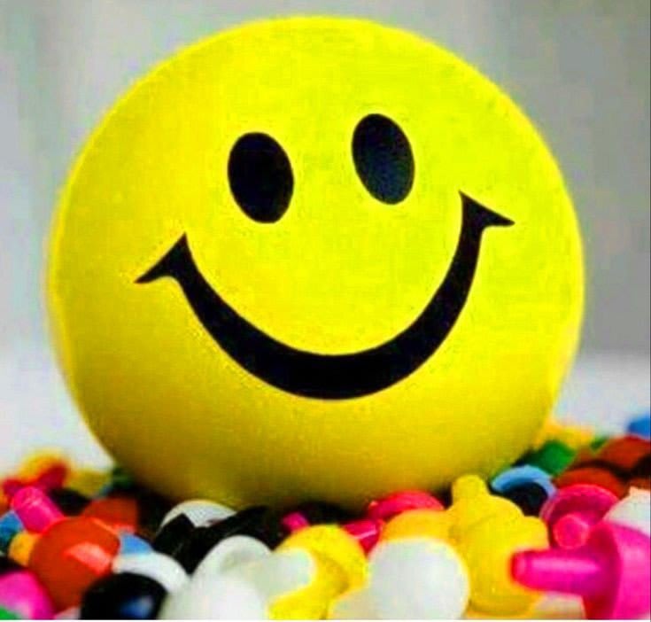 Smile dp4