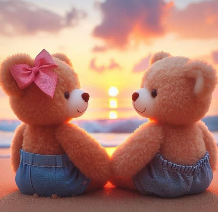 Teddy Bear Images 41