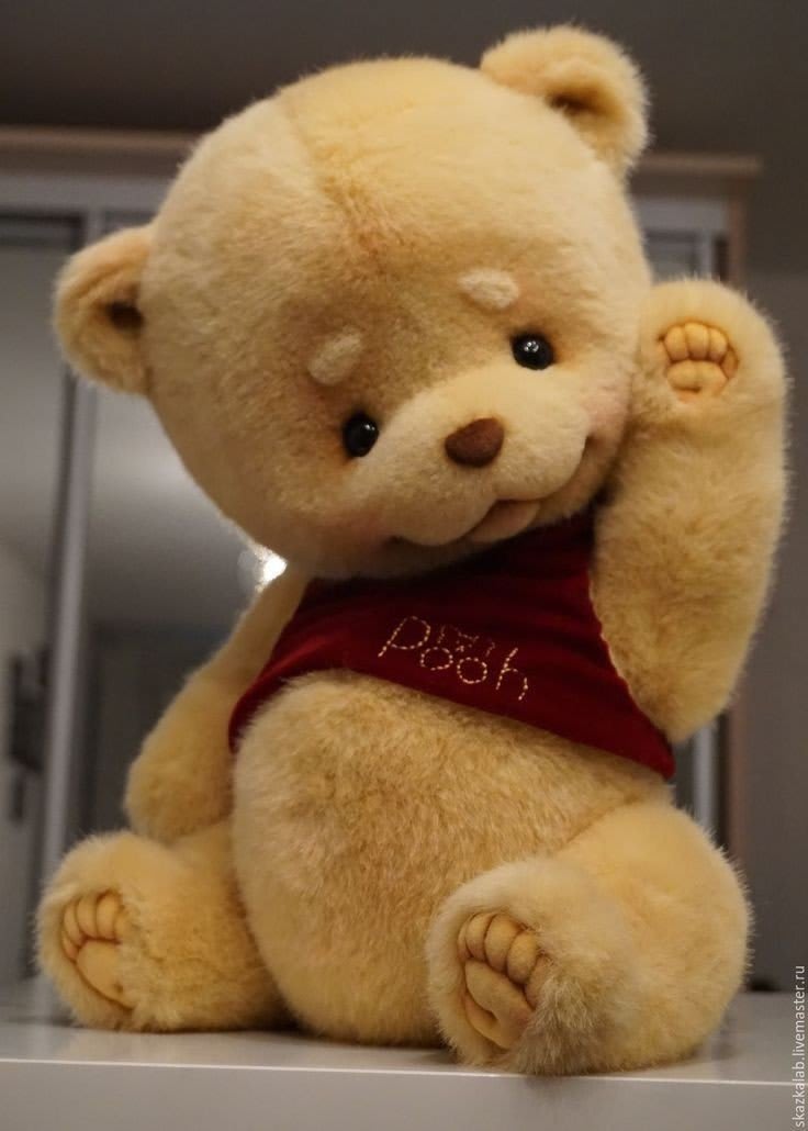 Teddy Bear Images 48