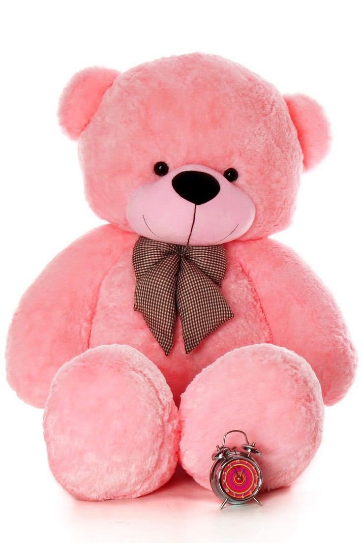 Teddy Bear Images 76
