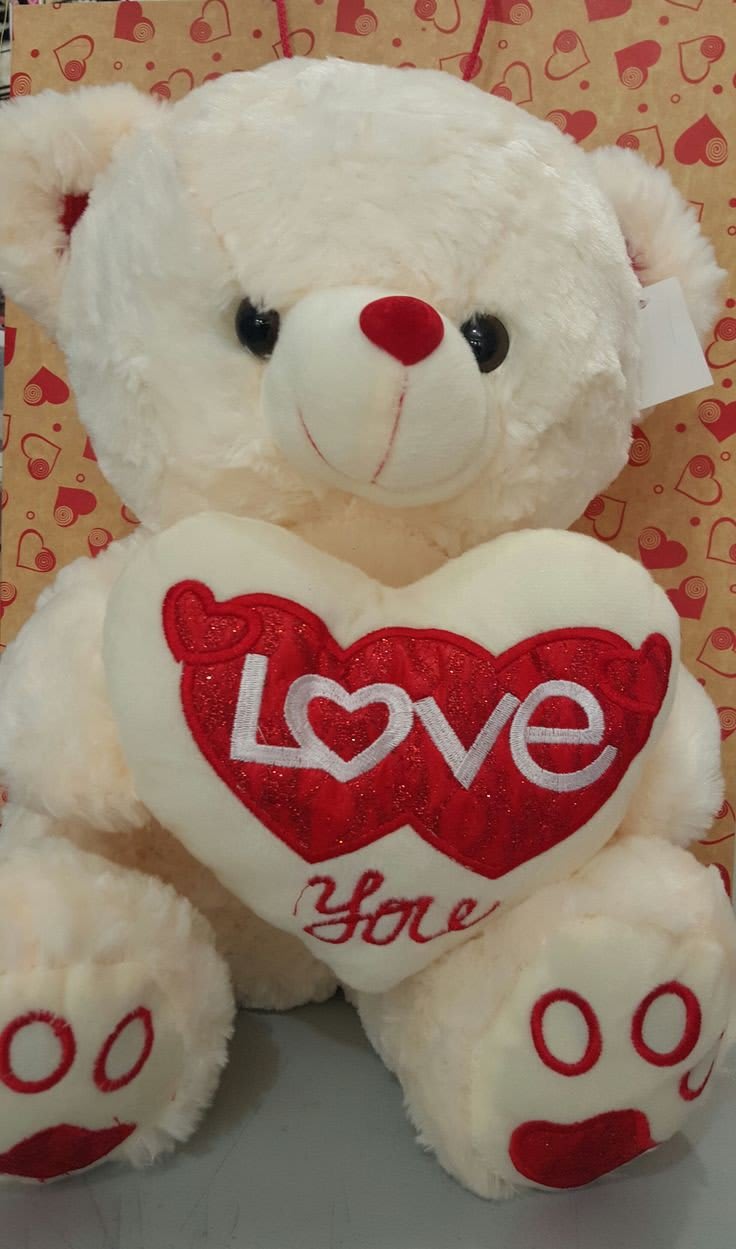 Teddy Bear Images 5