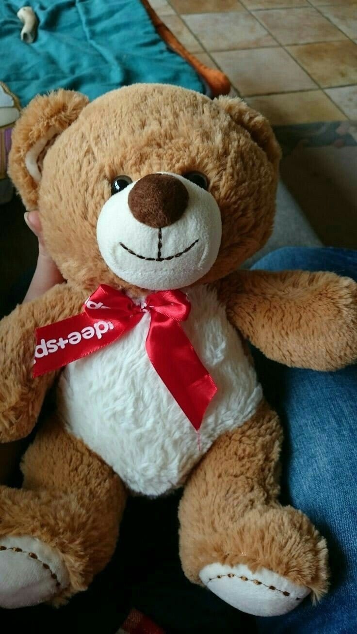 Teddy Bear Images 27