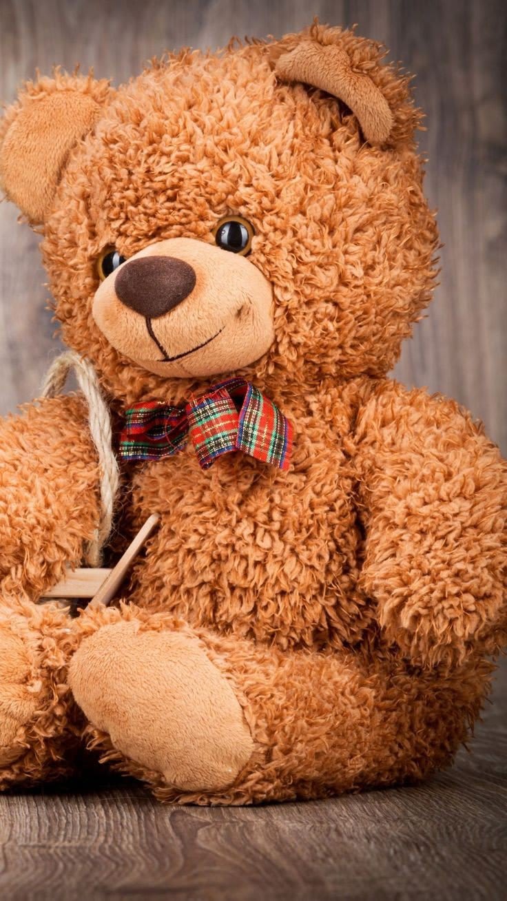 Teddy Bear Images 13