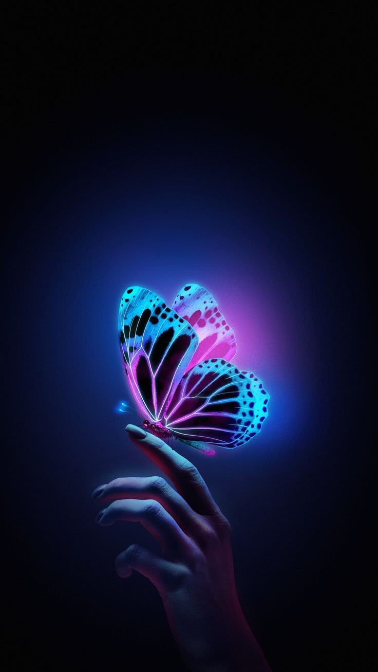 Butterfly DP 51