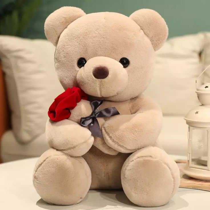 Teddy Bear Images 20