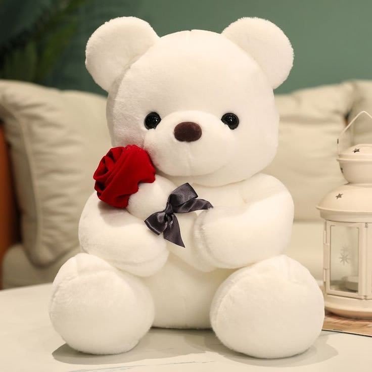 Teddy Bear Images 80
