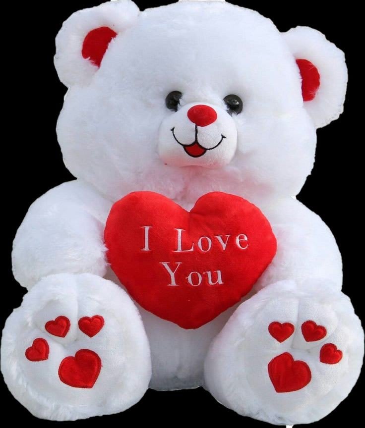 Teddy Bear Images 84