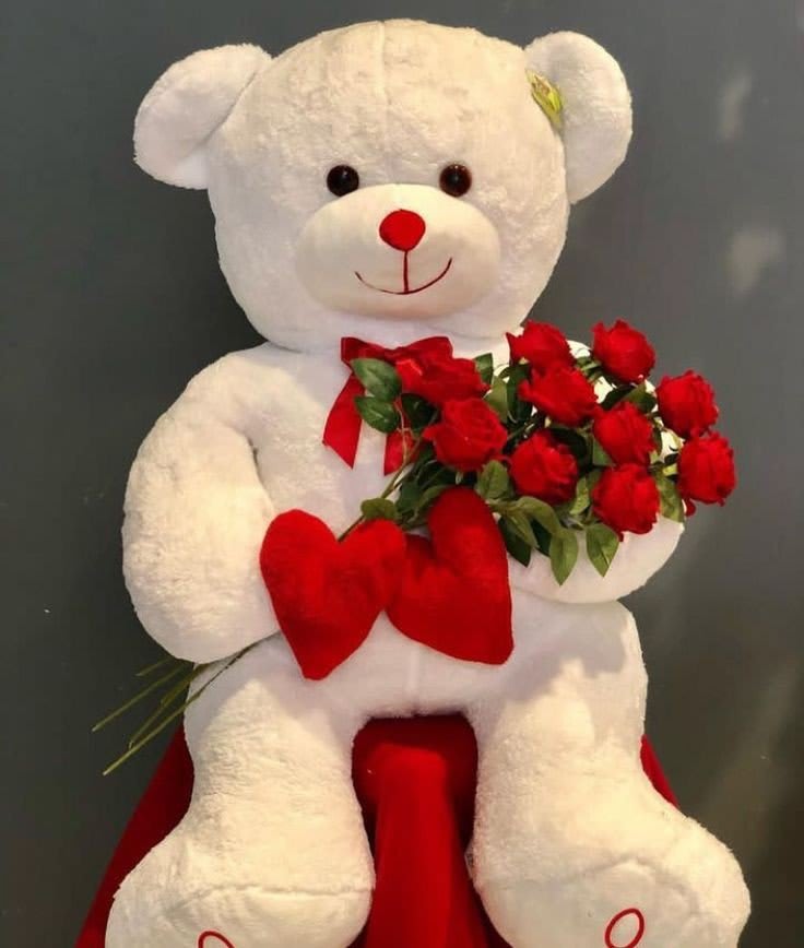 Teddy Bear Images 28