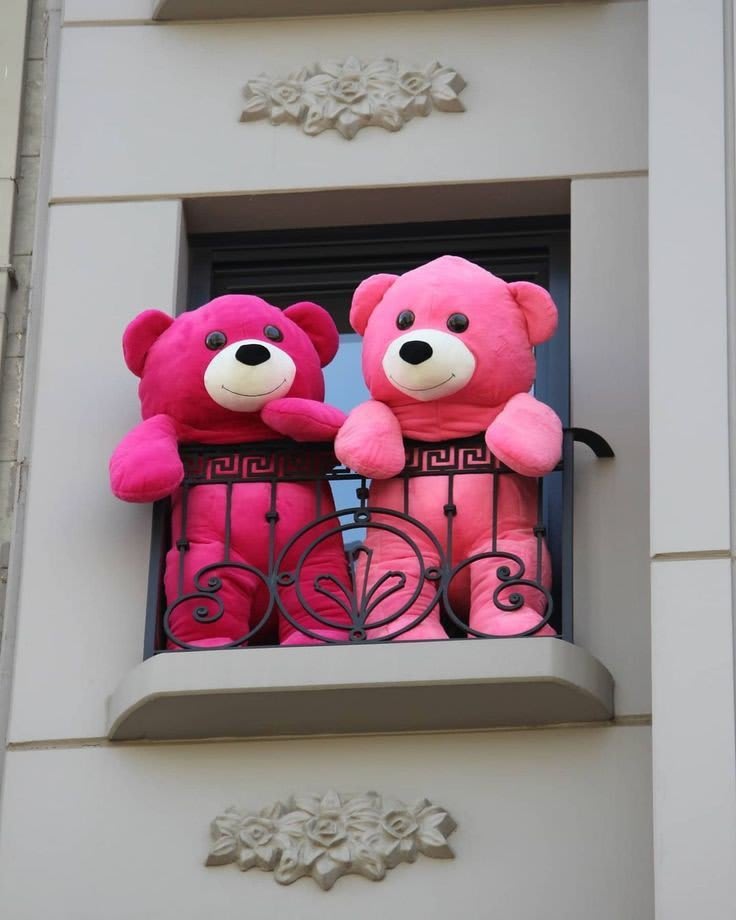 Teddy Bear Images 12