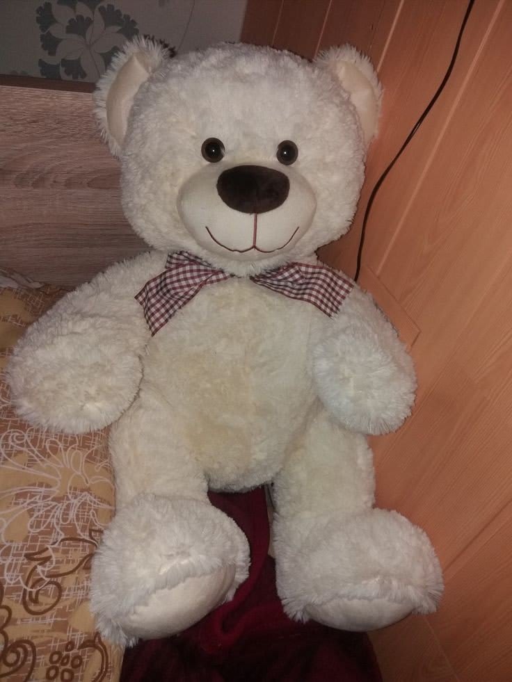 Teddy Bear Images 6