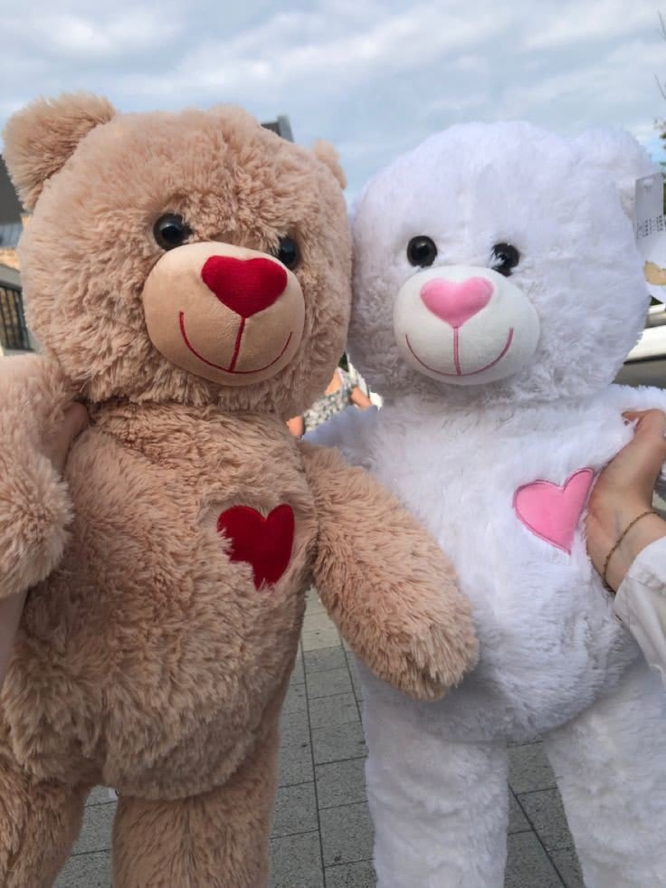 Teddy Bear Images 11