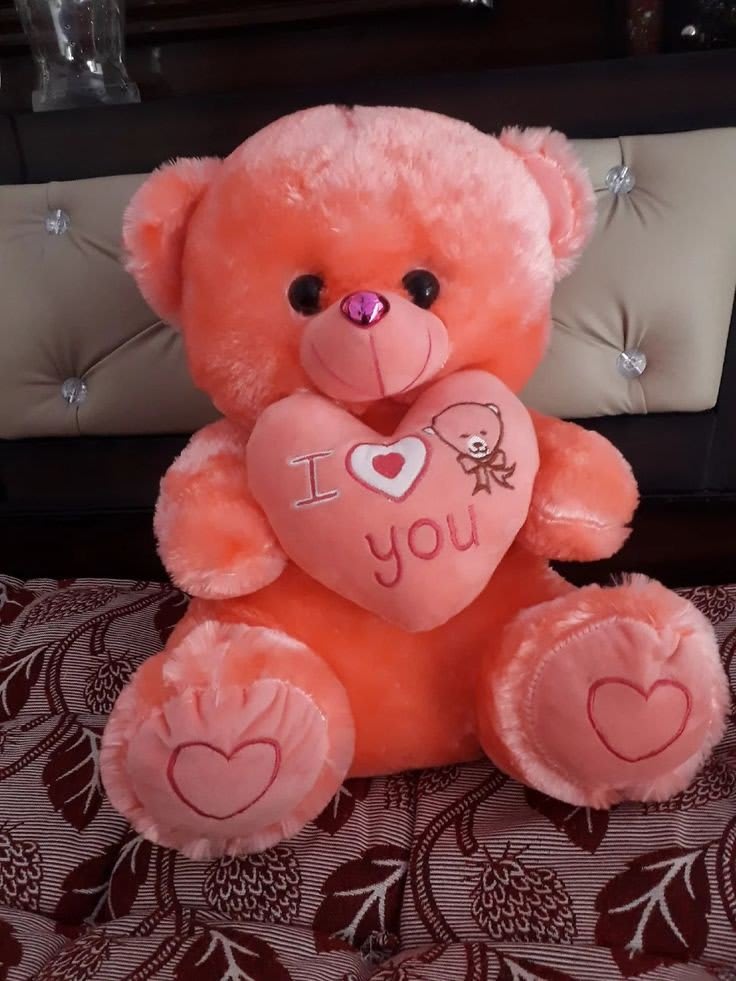 Teddy Bear Images 77