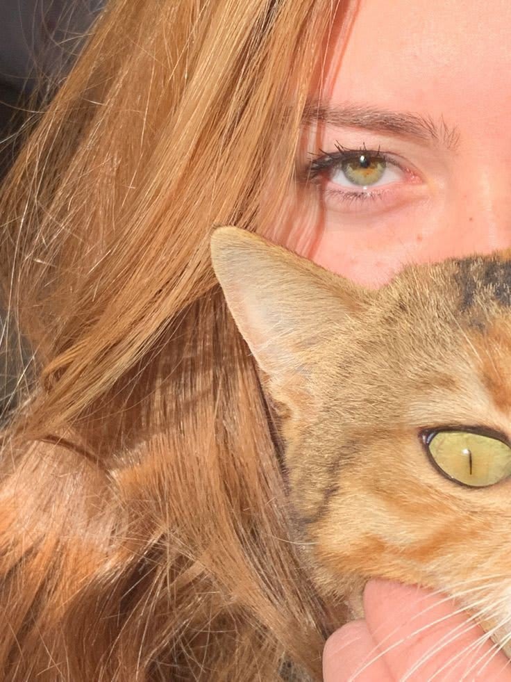 deep cat eye