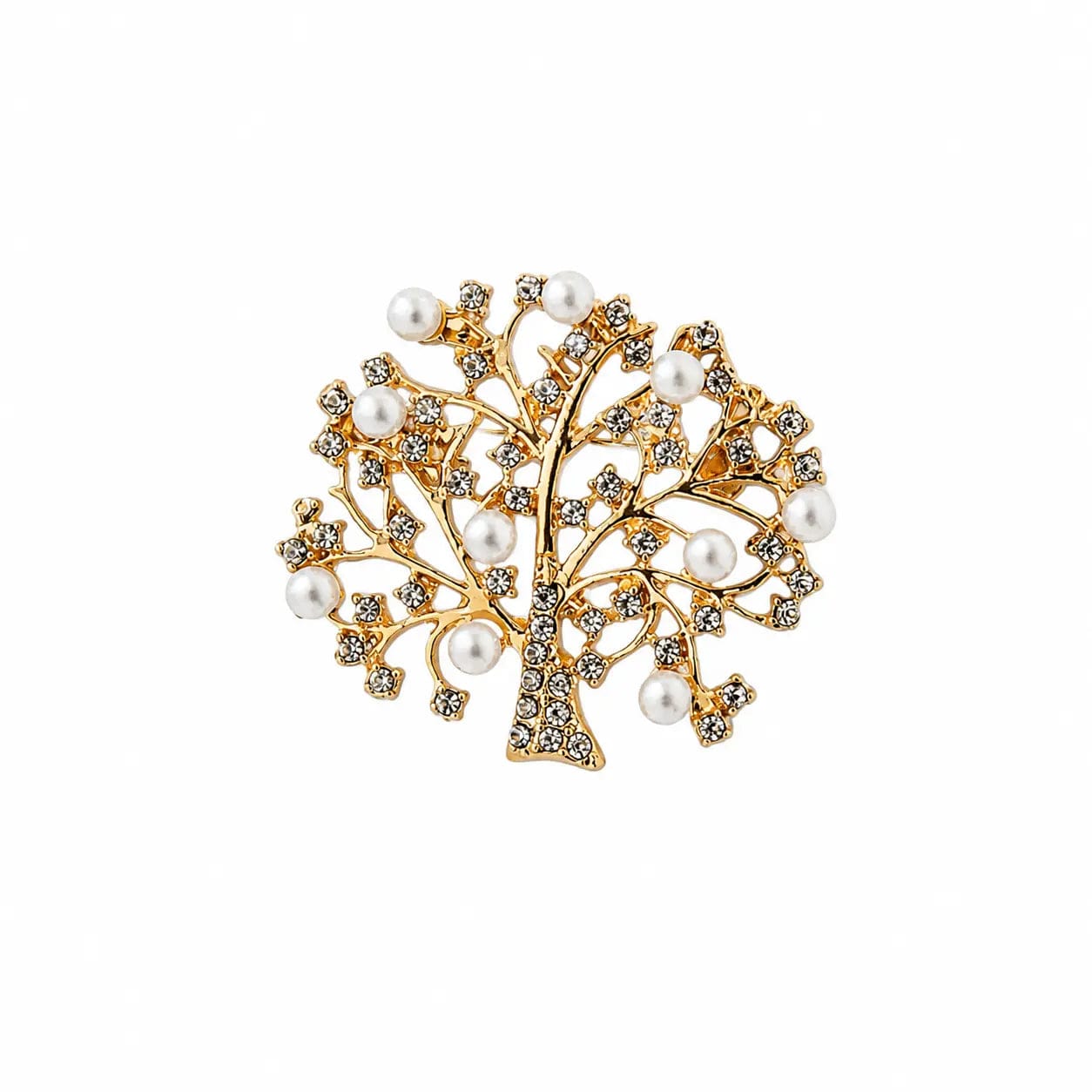 XZ2026052421