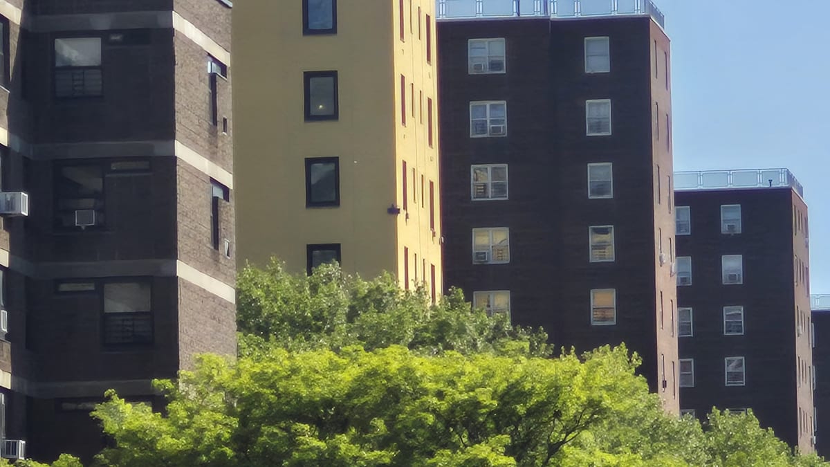 Brown-brick apartment towers with window air-conditioners rising above a green tree under a blue sky
