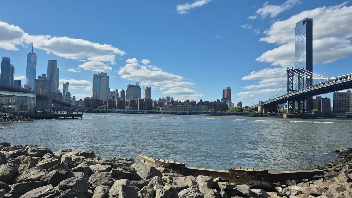 The Manhattan Bridge and Lower Manhattan skyline seen across the river from a rocky shoreline