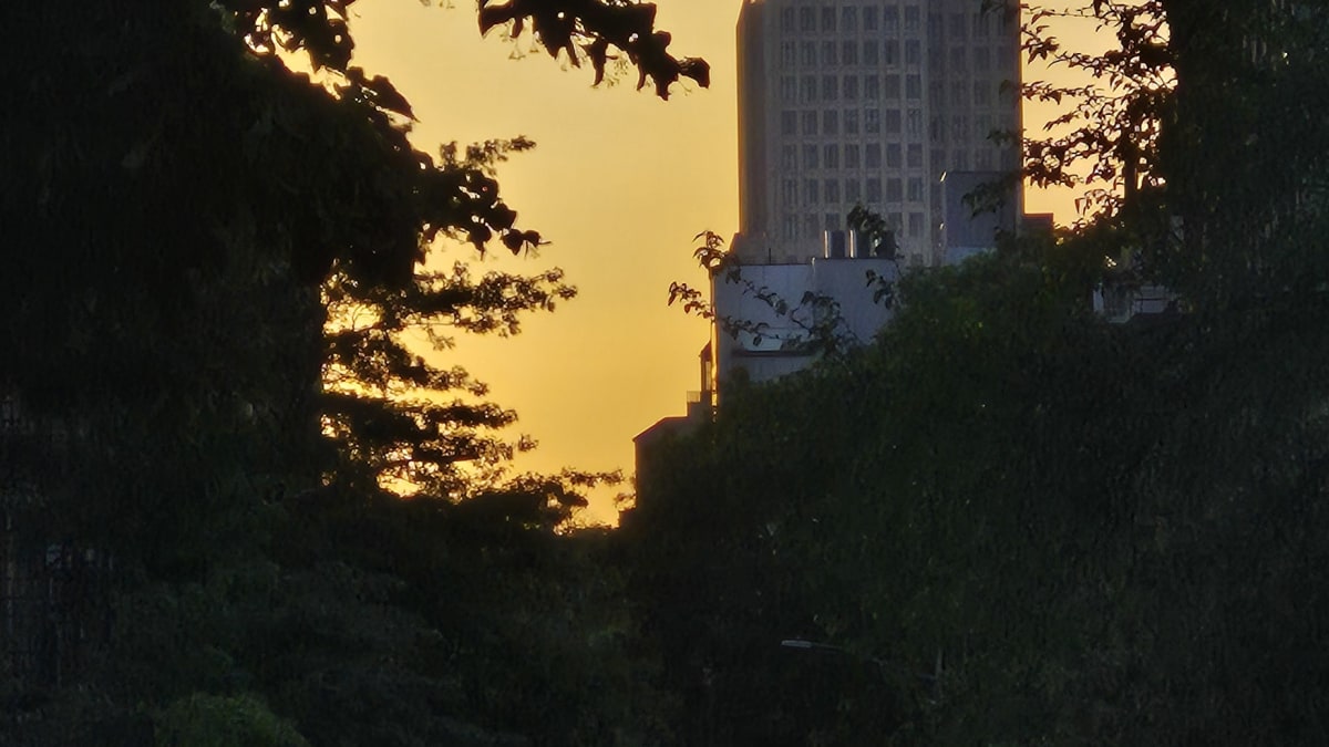 A tall tower silhouetted against a golden sunset at the end of a tree-lined street, with traffic below
