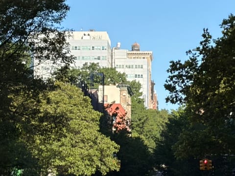 Apartment buildings and a rooftop water tower rising above a dense green tree canopy under a blue sky