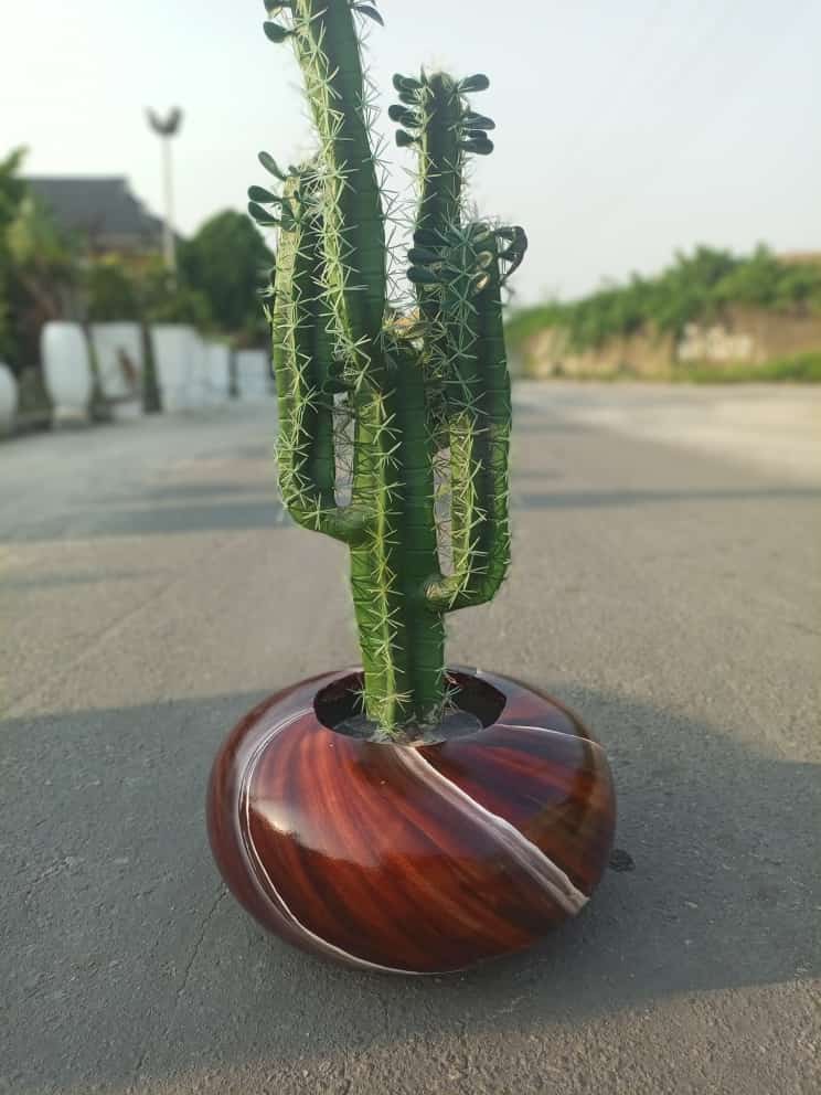 outdoor & gardens