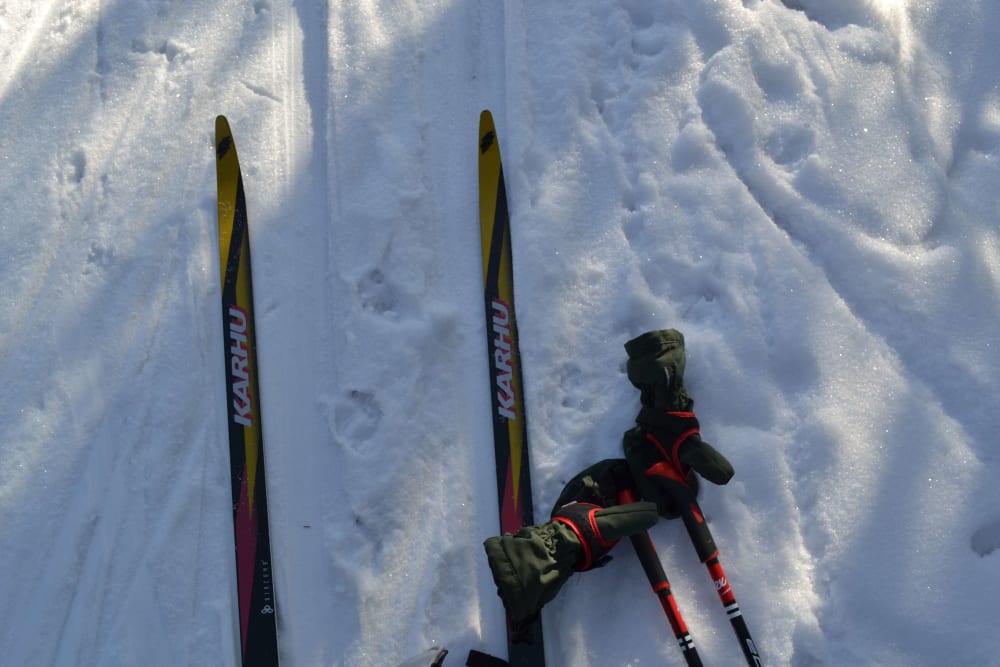 went skiing with the camera