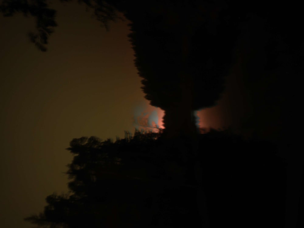 Evening hike, northern lights, and unforgettable moments