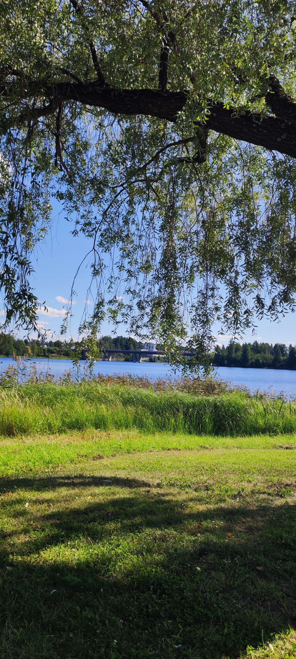 Focus on growth, cutting distractions, and leveling up my game