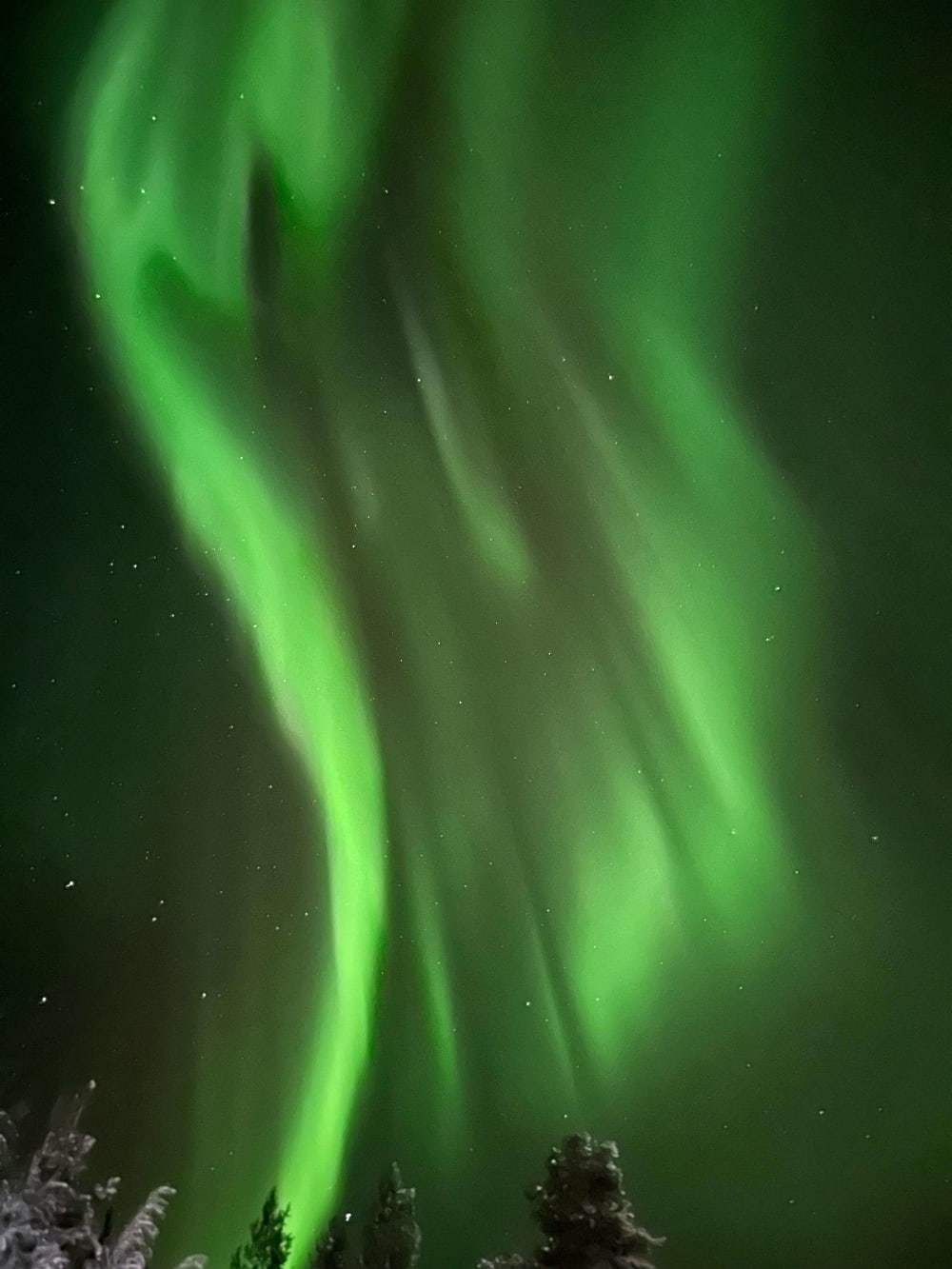 nothern lights in lapland