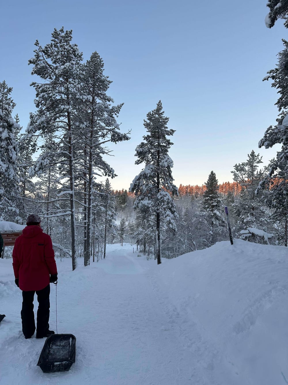 sleding, hurt my ass badly, was super funny