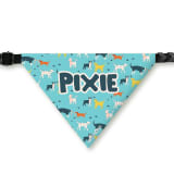 PawsIndia 1