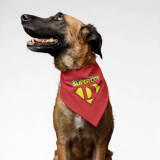 PawsIndia 2