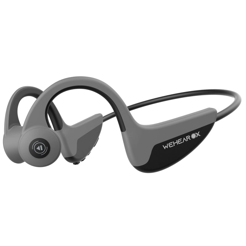 WeHear 1