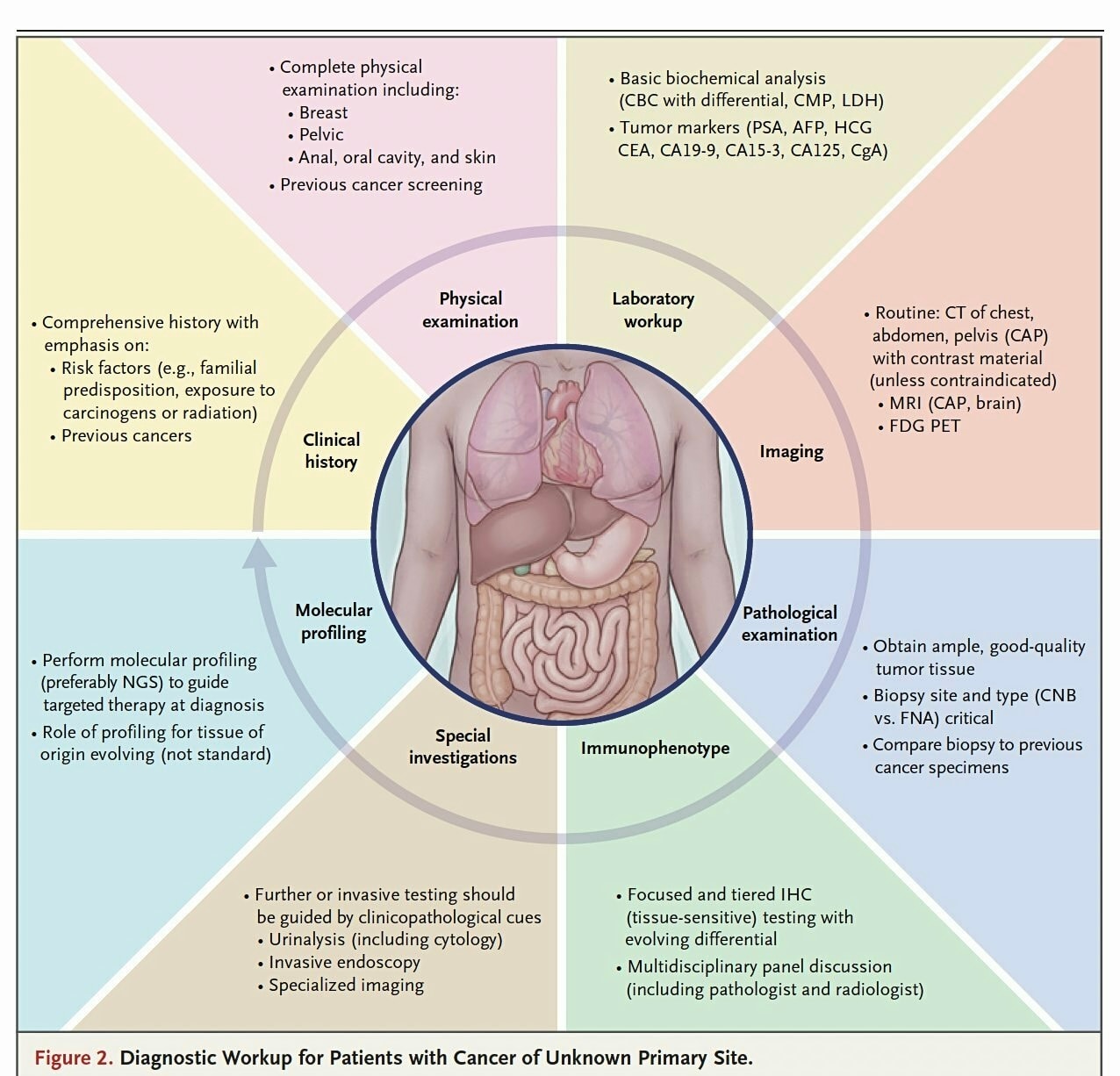 Clinical endoscopic image