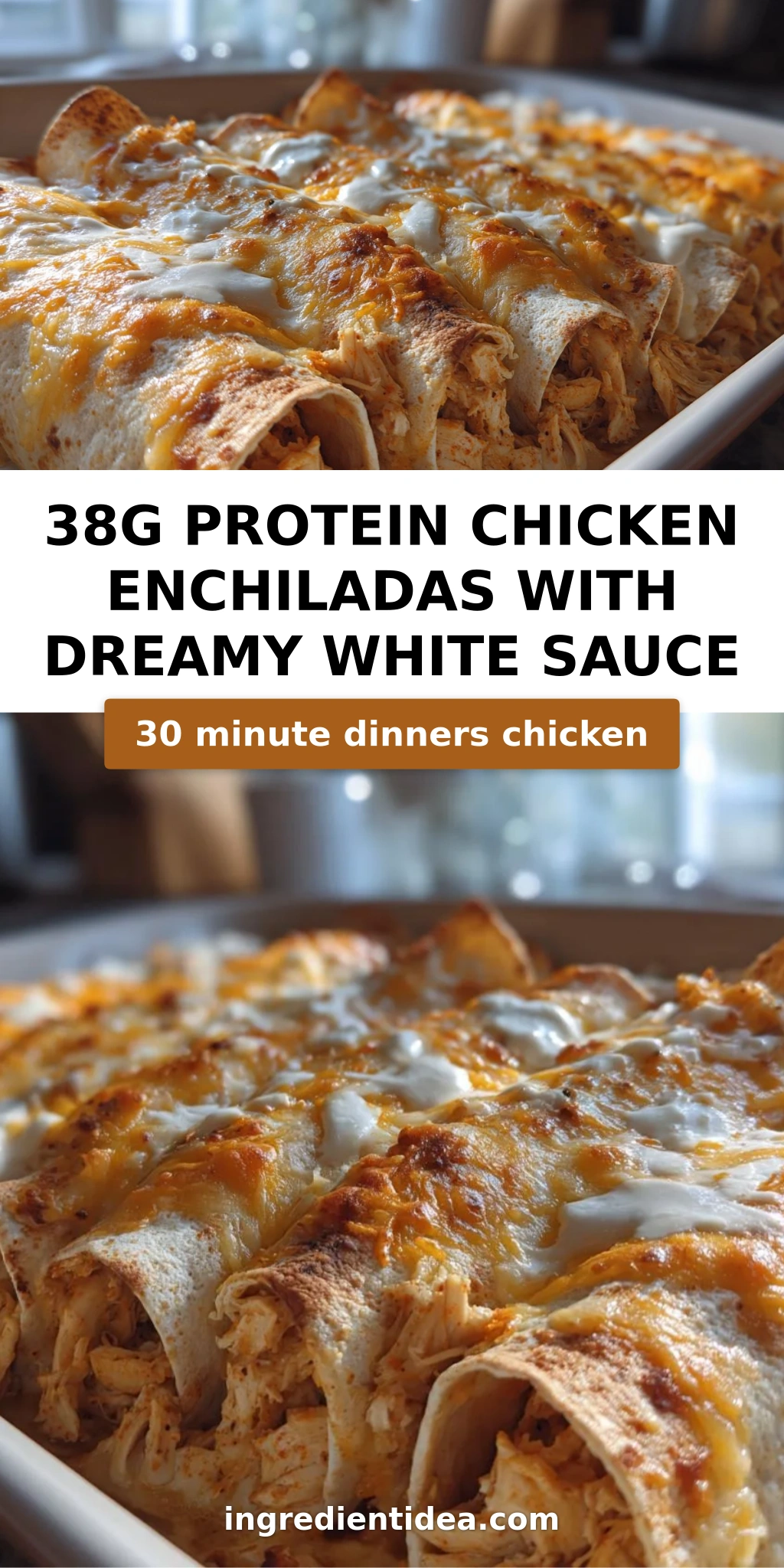 38g Protein Chicken Enchiladas with Dreamy White Sauce