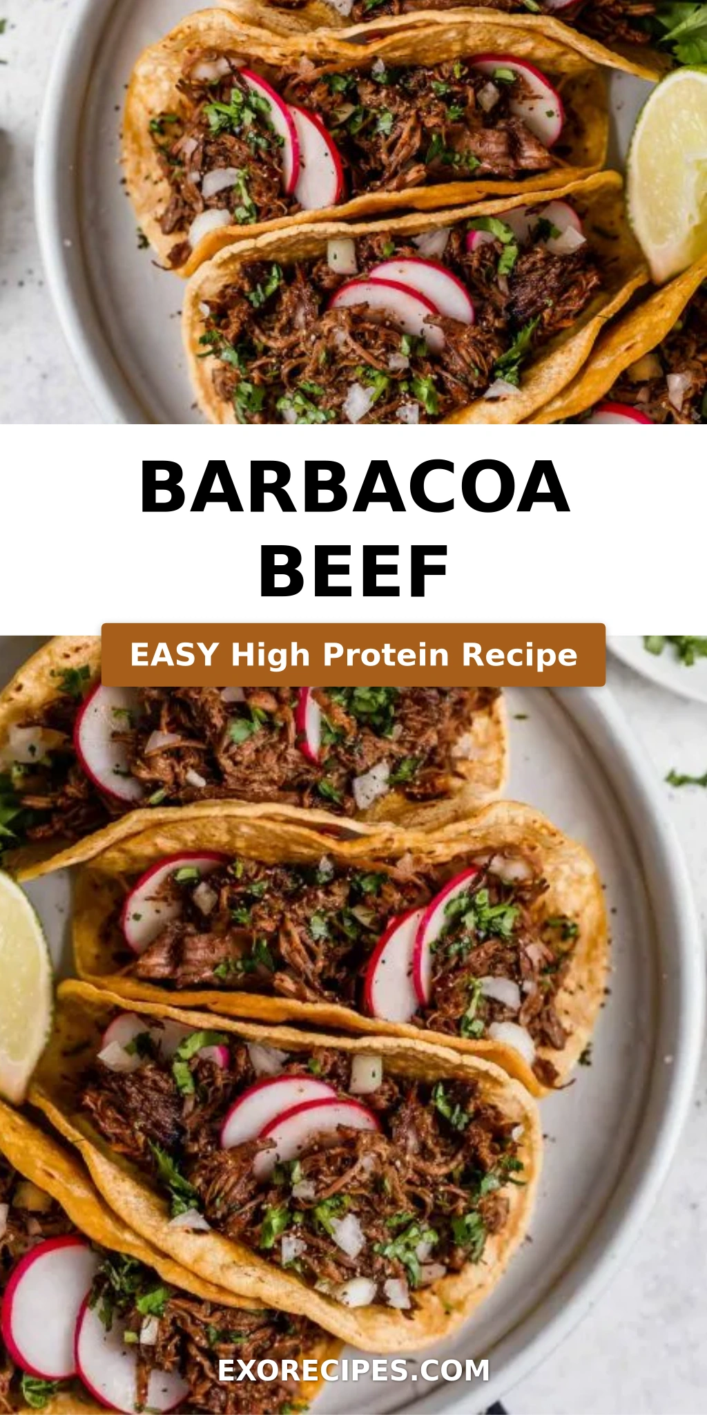 Barbacoa Beef