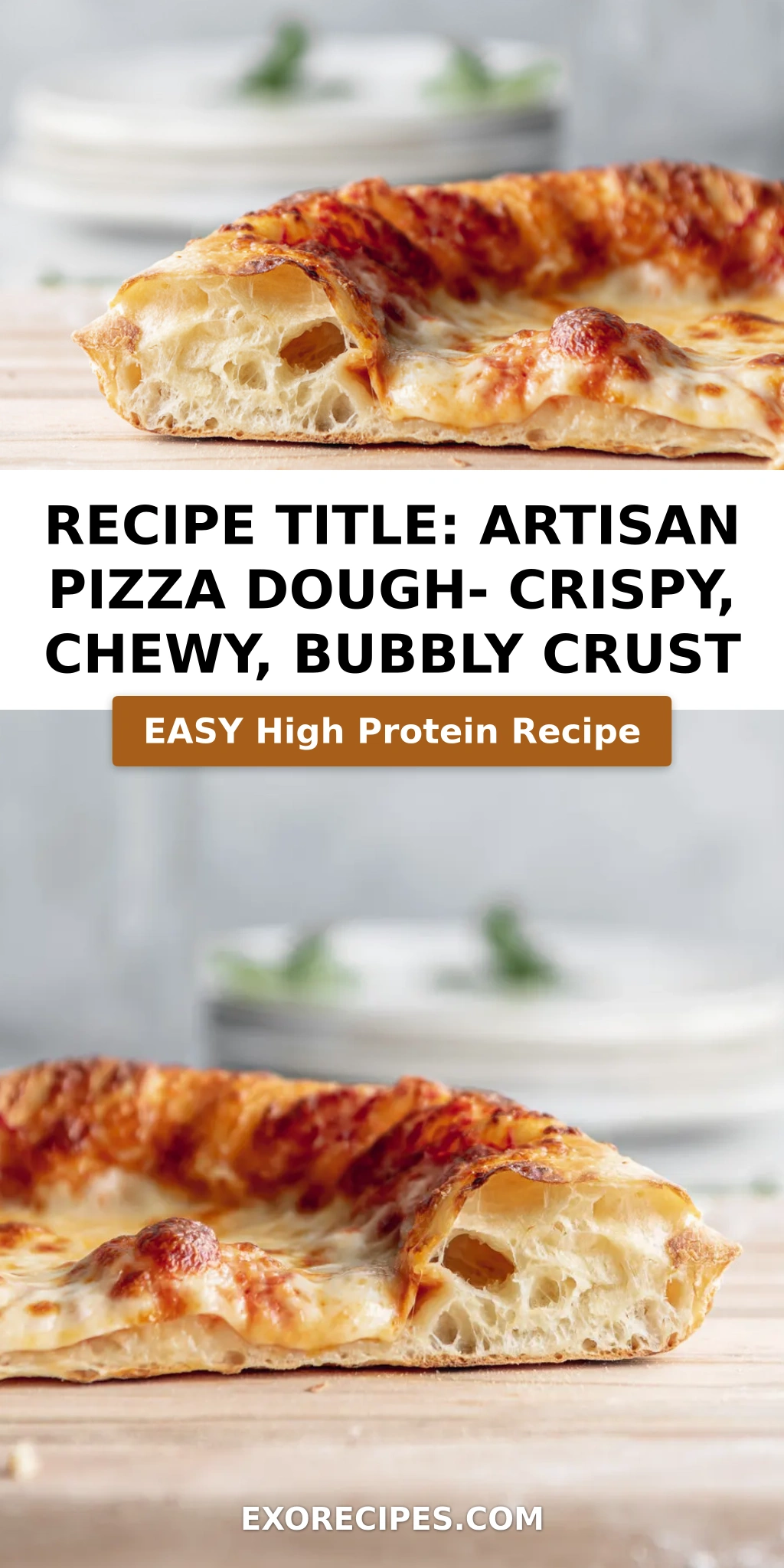 Recipe Title: artisan pizza dough- crispy, chewy, bubbly crust