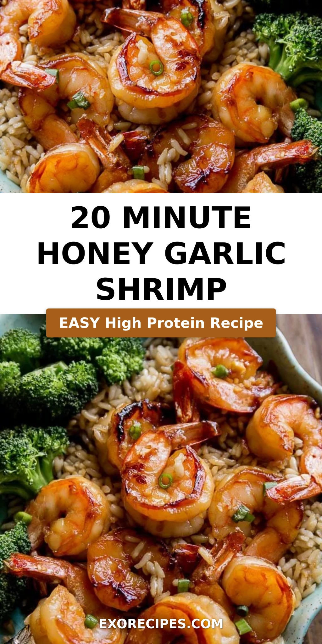 20 Minute Honey Garlic Shrimp