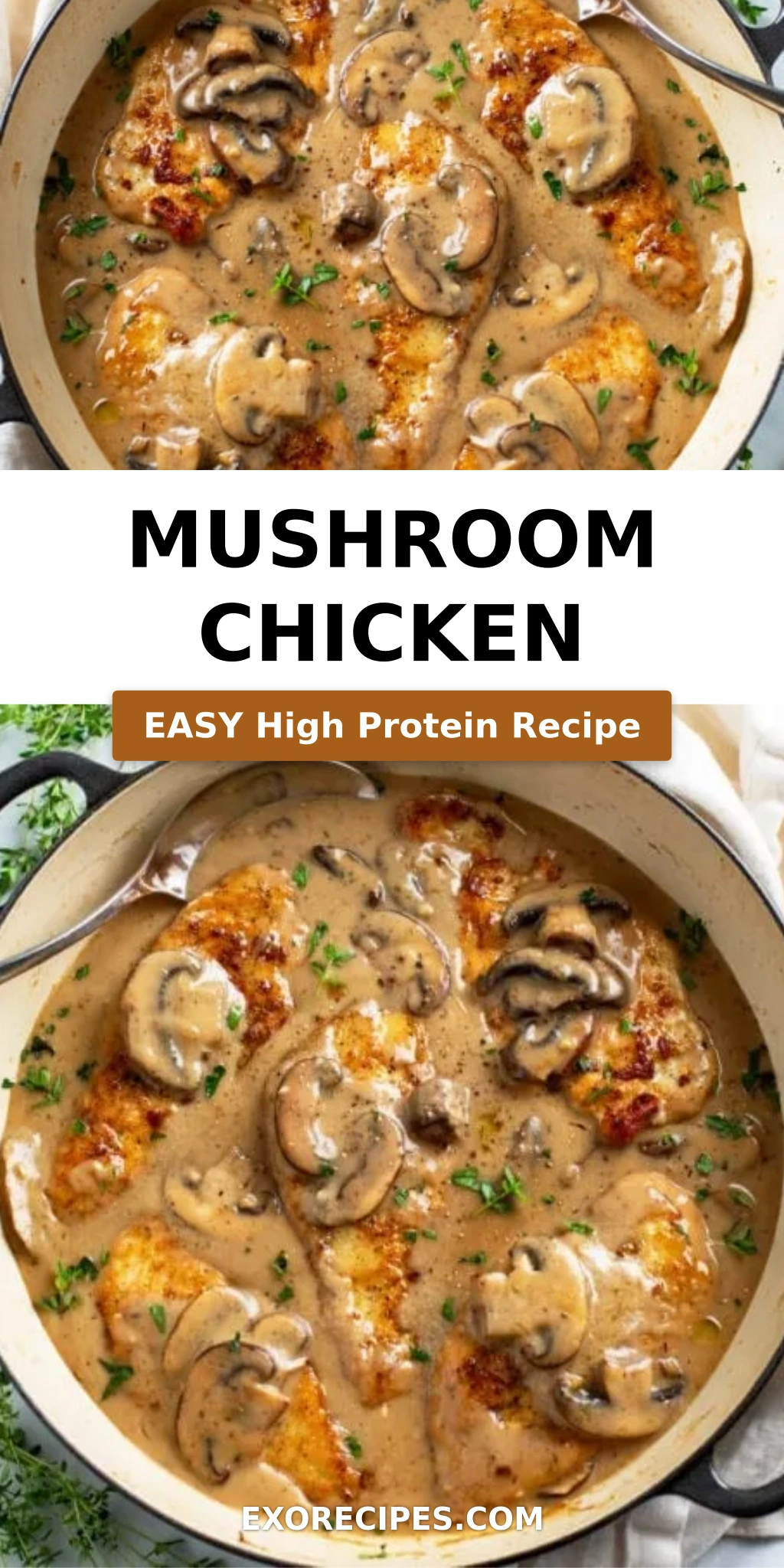 Mushroom Chicken