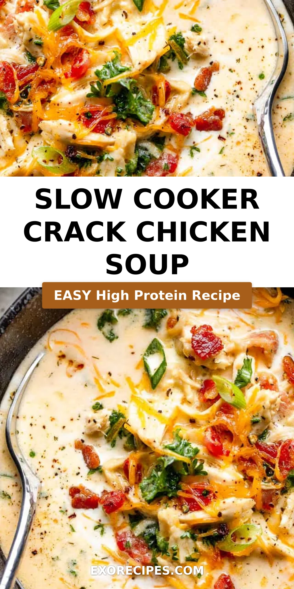 SLOW COOKER CRACK CHICKEN SOUP