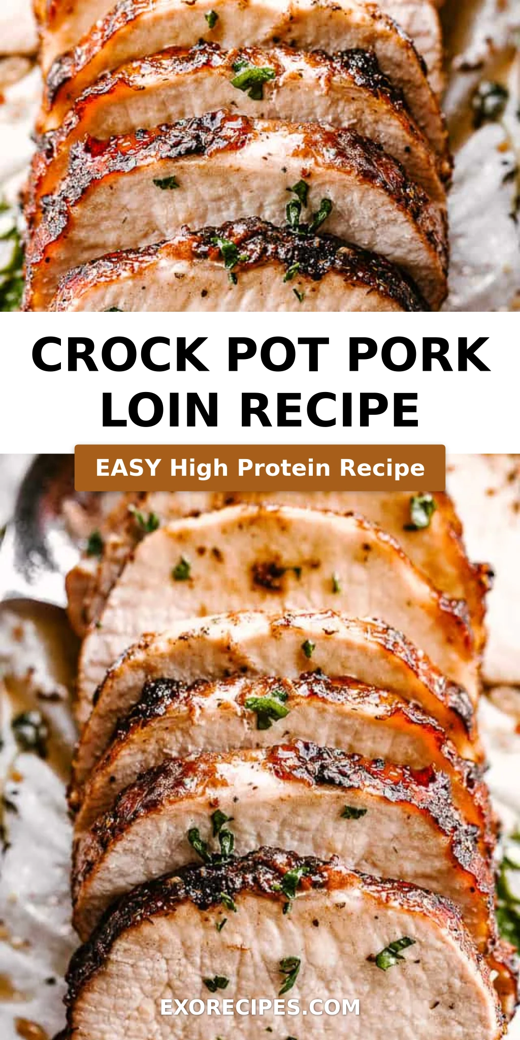 Crock Pot Pork Loin Recipe