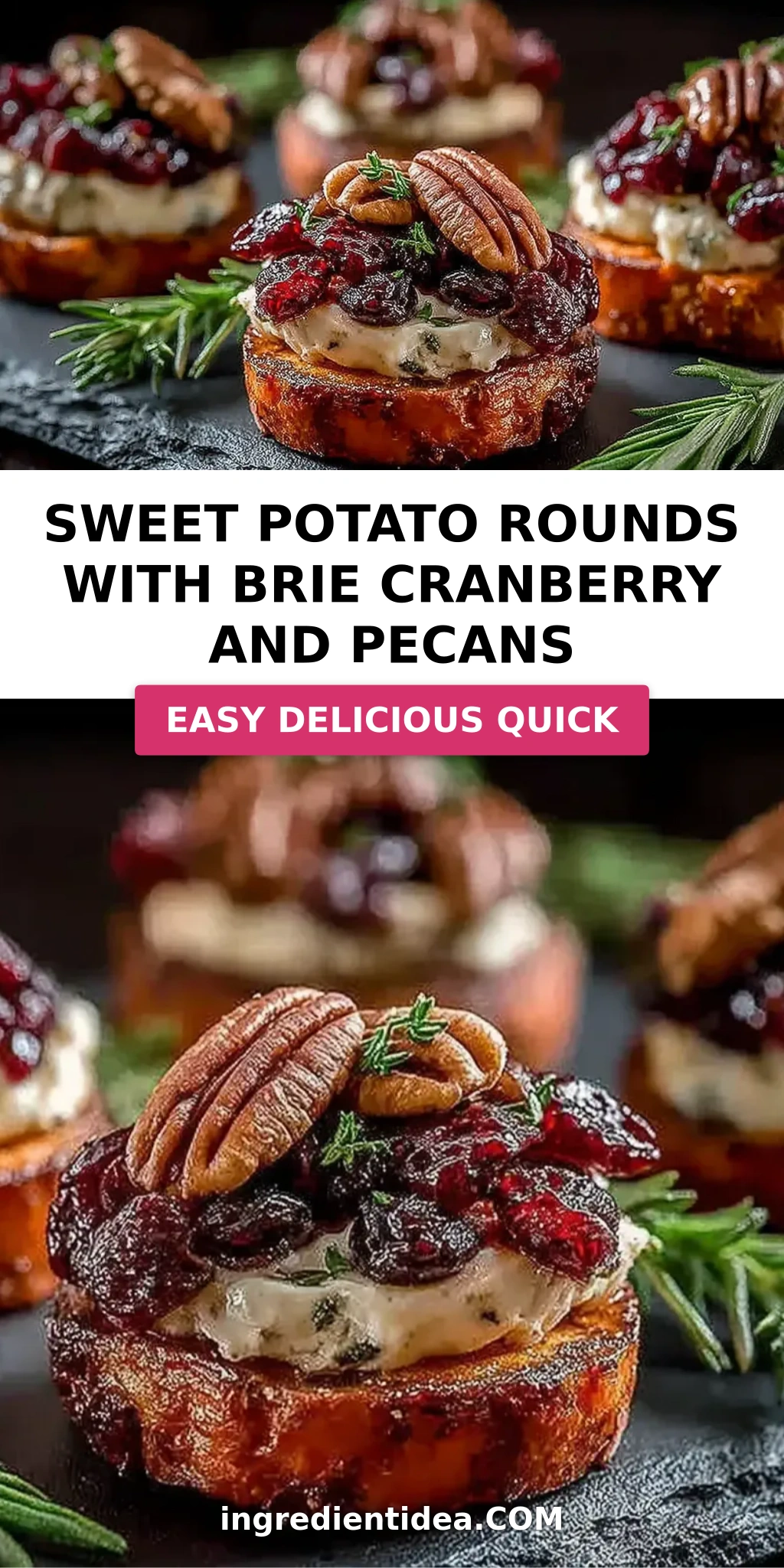 Sweet Potato Rounds with Brie Cranberry and Pecans